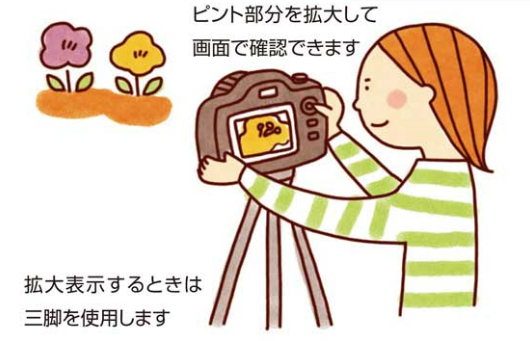 ライブビュー