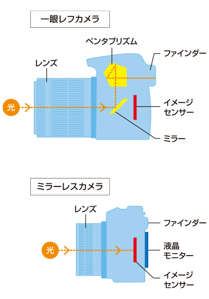 ミラーレスカメラと一眼レフカメラの違い