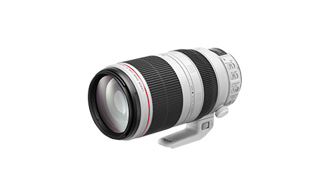 EF100-400mm F4.5-5.6L IS II USM